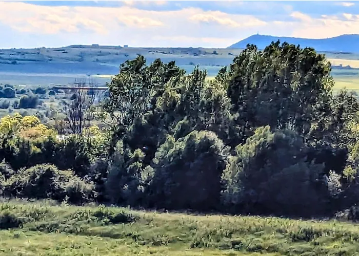 Apartamento Homely Bulgarian Apartment 1 Bed *